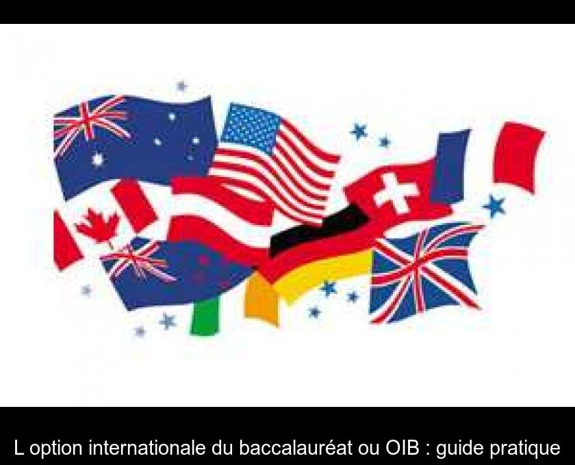 thumb-l-option-internationale-du-baccalaureat-ou-oib---guide-pratique-6311.jpg
