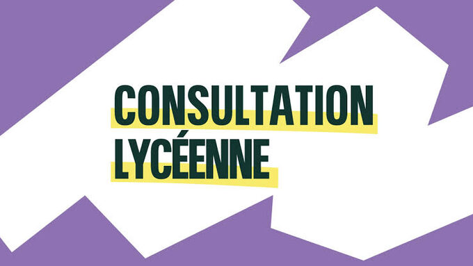 consultation lycéenne